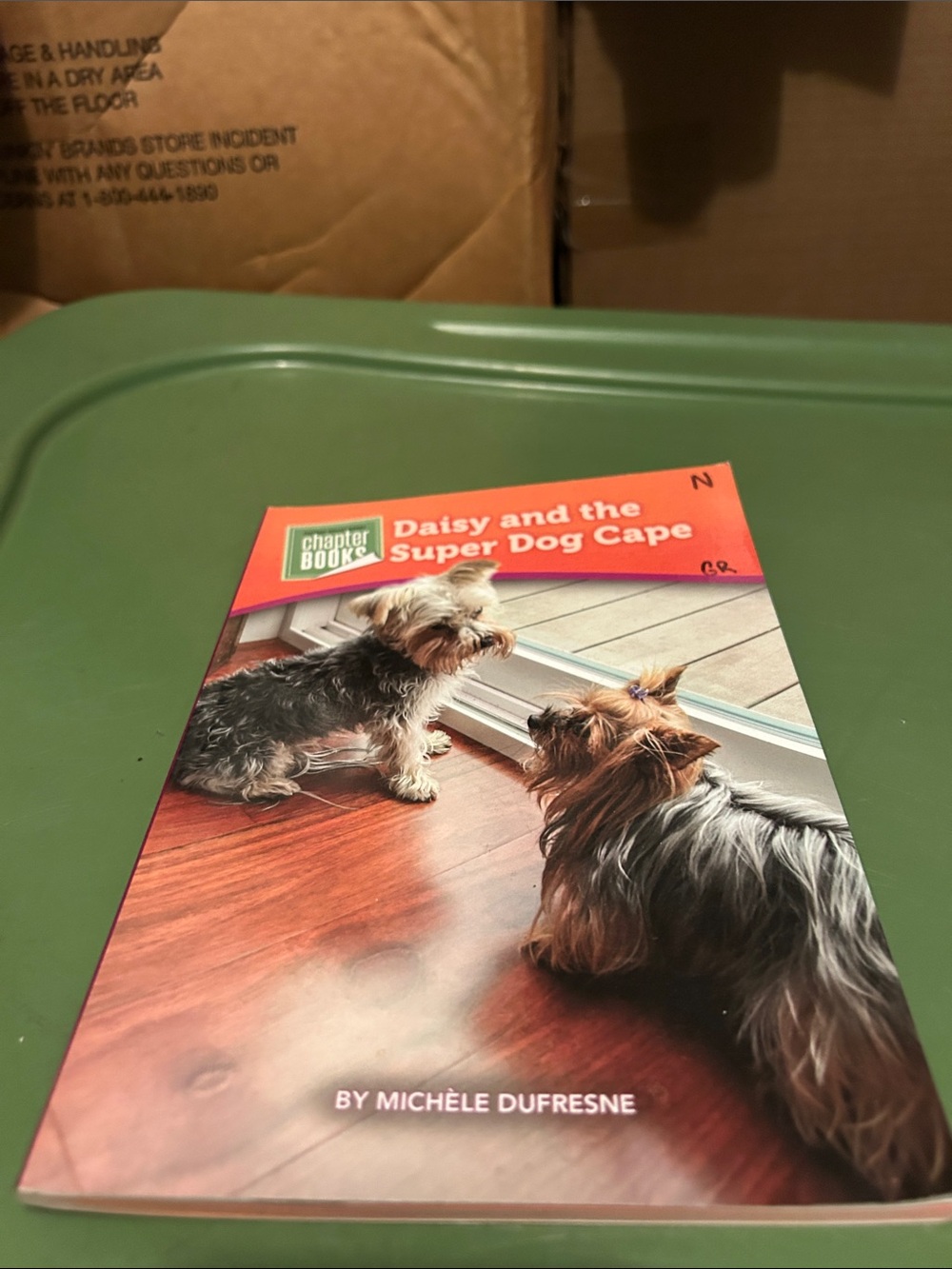 Chapter Book Daisy and the Super Dog Cape